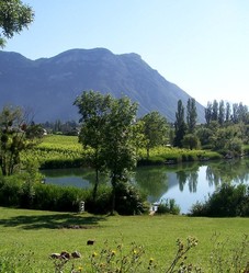 Lac et vignoble des Marches - © Savoie Mont Blanc / Teso-Quenard